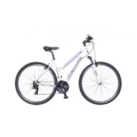 NEUZER Bicikl X100 19 28" bijeli bordo Cross-Trekking